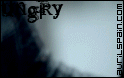 019.gif