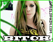 08.gif