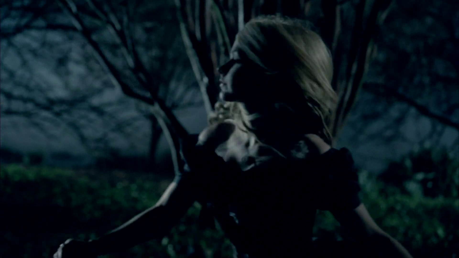 vlcsnap-2011-02-28-22h53m34s245.png